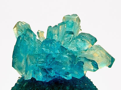 Grow Your Own Crystal