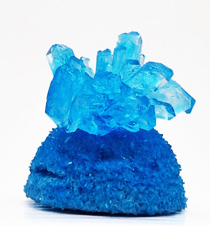 Grow Your Own Crystal